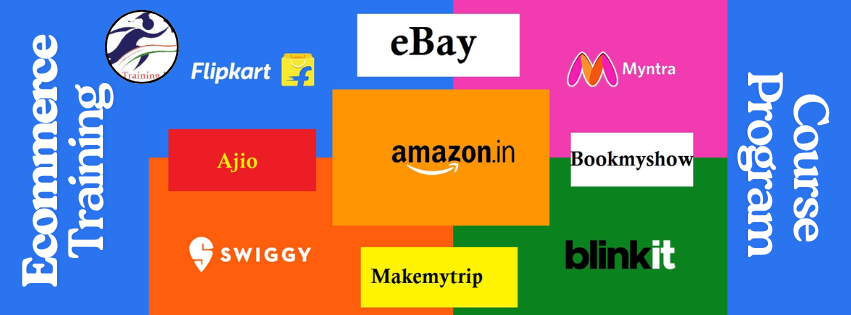 Multiple Ecommerce Platforms